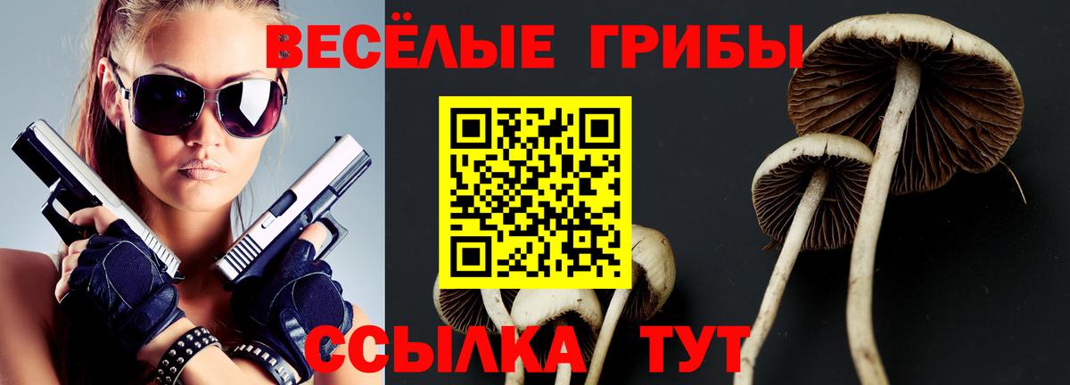 Псилоцибиновые грибы Psilocybe  Вход с VPN  Лабинск 